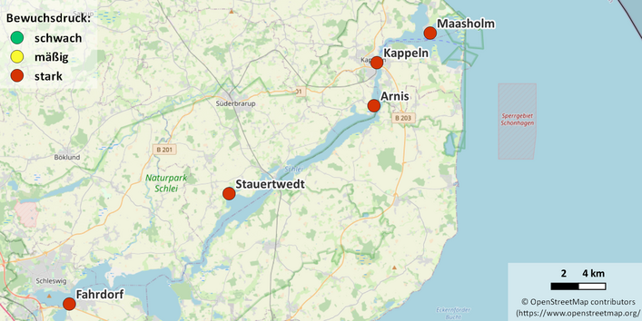 Kartenausschnitt Schlei