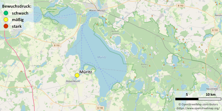 Kartenausschnitt Müritz