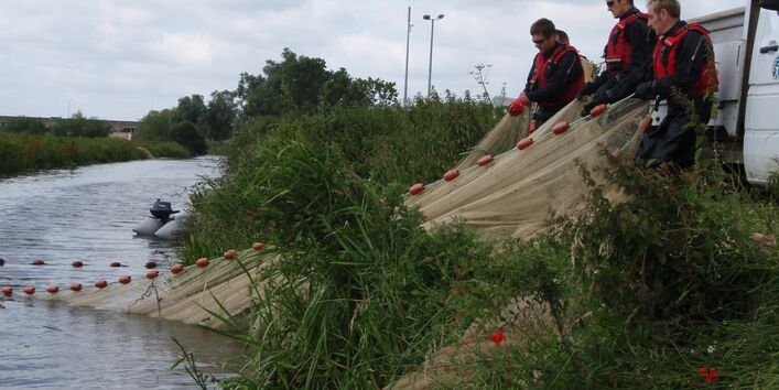 British National Fish Tissue Archive 
