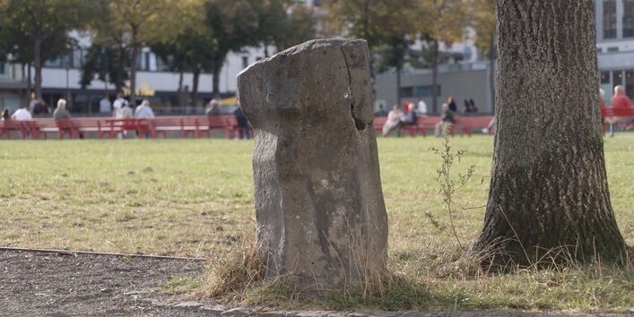 Ein Baum und daneben ein Stein