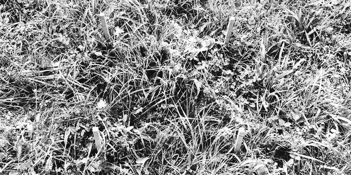 2 Fotos der Arbeitsfläche, vorher Wiese, nachher ausgehobenes Loch