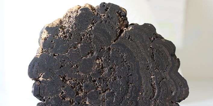 Querschnitt durch eine schwarze Manganknolle