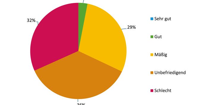 Kreisdiagramm des Zustandes