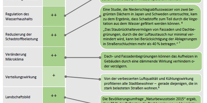 Die Begrünung vpn Dächern hat diverse positive Wirkungen auf die Umwelt.