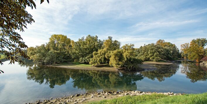 Das Bild zeigt den Altarm eines Flusses, dessen Ufer unbefestigt und von Wiesen und Baumgruppen gesäumt ist.