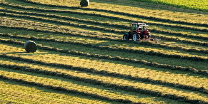 The picture shows grassland with mown grass. The mown grass is lying in rows. In the right-hand margin a tractor can be seen turning hay. In the upper margin you can see a hay bale. 