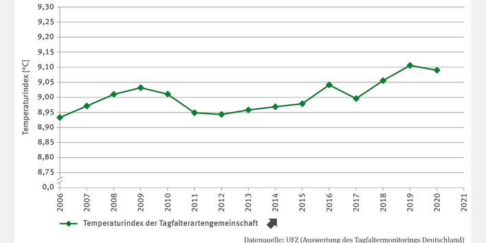 Die Abbildung BD-I-3 "Temperaturindex der Tagfalterartengemeinschaften" zeigt ein Liniendiagramm des Temperaturindex in °C von 2006 bis 2021. Der Index stieg signifikant von 8,9 °C im Jahr 2006 auf 9,1 °C im Jahr 2021. Der Anstieg verlief jedoch nicht kontinuierlich: Rückgänge gab es 2010, 2011 und 2017. Der Index verdeutlicht klimatische Veränderungen und deren Einfluss auf die Tagfalterartengemeinschaften.