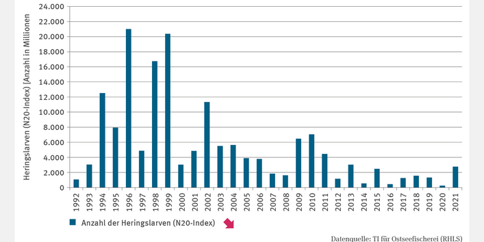 Die Abbildung FI-I-2 "Heringslarven im Greifswalder Bodden" zeigt die Anzahl der Heringslarven (N20-Index) in Millionen. Der höchste Wert von über 21 Milliarden Larven wurde 1996 erreicht. In den 1990er Jahren gab es mehrere Jahre mit zweistelligen Milliarden-Werten. Nach 2002 fielen die Werte deutlich, mit den besten Ergebnissen 2009 und 2010. 2014, 2016 und 2020 wurden weniger als 1 Milliarde Larven ermittelt, der niedrigste Wert lag 2020 bei 239 Millionen. Die Zeitreihe zeigt einen signifikant fallenden 