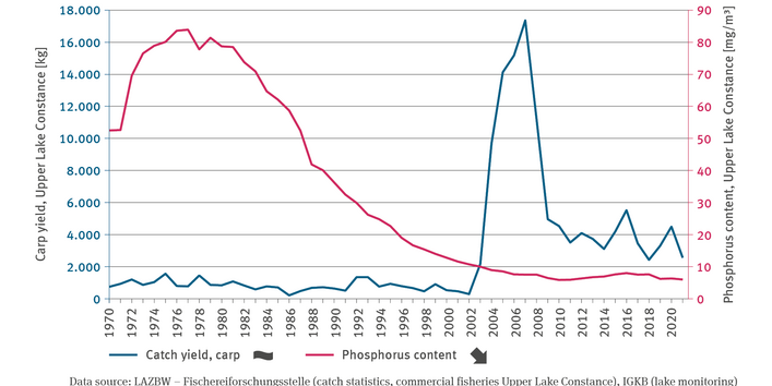 to 87 milligrammes per cubic metre. Thereafter the value decreased almost continuously until 2003 to less than 10 milligrammes and has been oscillating around this value since then. Another line shows the carp yield in Upper Lake Constance.
