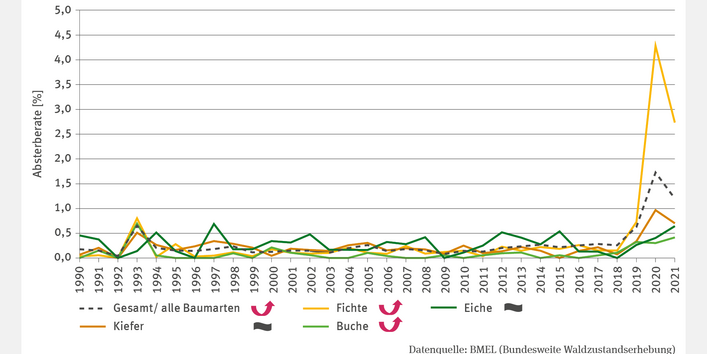 Das Liniendiagramm FW-I-4 "Absterberate" zeigt die jährliche Absterberate in Prozent für Kiefer, Fichte, Buche, Eiche und die Gesamtheit dieser Baumarten von 1990 bis 2021. Bis 2018 lagen die Raten meist zwischen 0,0 und 0,5 %, wobei die Eiche oft etwas höhere Werte aufwies. Ab 2019 stiegen die Raten deutlich an, insbesondere 2020, als die Fichte eine Absterberate von 4,3 % erreichte. Für Fichte, Buche und alle Baumarten zusammen zeigt sich über den Gesamtzeitraum ein signifikanter Anstieg.