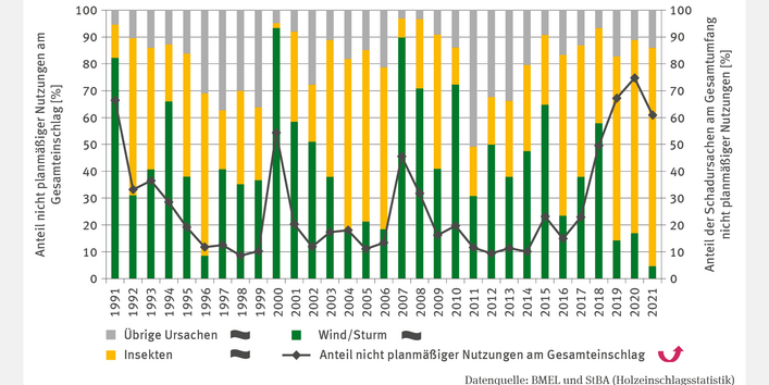 Das zweiachsige Diagramm FW-I-5 "Schadholz - Umfang nicht planmäßiger Nutzung" zeigt den Anteil nicht planmäßiger Nutzungen am Gesamteinschlag und die Schadursachen Wind/Sturm, Insekten sowie Übrige. Bis 1999 sank der Anteil nicht planmäßiger Nutzungen auf etwa 10 %, bevor 2000 und 2007 Werte von 45–55 % erreicht wurden. Ab 2016 stieg er signifikant auf 60 % (2021). Stürme prägten die Schadursachen 1991, 2000 und 2007, während zuletzt mit 80 % im Jahr 2021 Insekten dominierten.