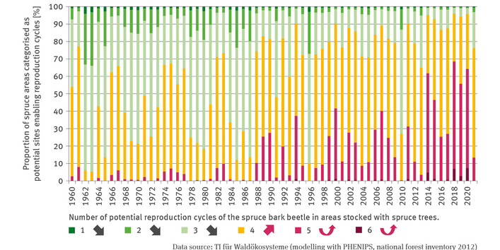 The stacked columns chart FW-I-6 ’Endangered spruce stands’ shows – for the period of 1960 to 2021 – the proportion in per cent of areas in Germany planted with spruce trees, in which the spruce bark beetle would be able to achieve a specific number of potential reproduction cycles. In this process, a differentiation was made between the number of potential reproduction cycles between 1 and 6. 