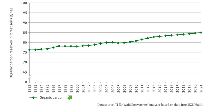 The illustration FW-R-3 ’Humus reserves in forest soils’ indicates – for the period of 1992 to 2021 – in the shape of a line chart, the annual reserves of organic carbon in forest soils in tonnes per hectare. During the observation period, carbon reserves increased continuously and significantly from roughly 75 tonnes per hectare to 85 tonnes per hectare.