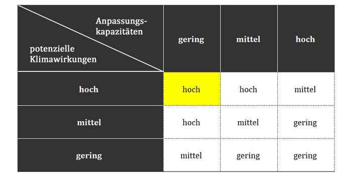 Die Höhe des Klimarisikos mit Anpassung ergibt sich aus einer Bewertung der potenziellen Klimawirkungen und der Anpassungskapazität.