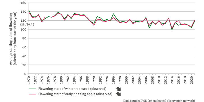 The line chart shows the observed mean onset of flowering of winter rapeseed and early-ripening apples in terms of calendar days from the beginning of the year onwards.