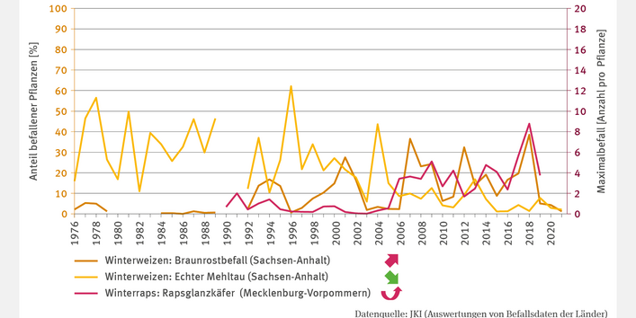 Die Abbildung LW-I-4 "Befall mit Schadorganismen – Fallstudie" zeigt den Befall von Winterweizen mit Braunrost und Echtem Mehltau (Prozent befallener Pflanzen) sowie den Maximalbefall von Winterraps mit dem Rapsglanzkäfer (Käfer pro Pflanze). Der Braunrostbefall zeigt einen signifikant steigenden Trend, während der Befall mit Echtem Mehltau signifikant zurückgeht. Der Rapsglanzkäferbefall stieg signifikant von 1990 bis 2019, mit einem Höchstwert von etwa 9 Käfern pro Pflanze im Jahr 2018.