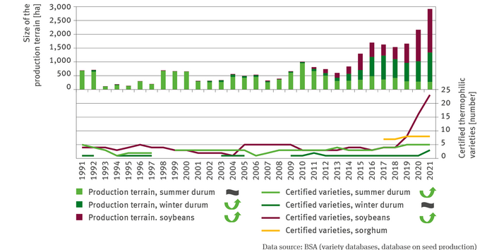 The illustration contains a biaxial chart. The chart illustrates, by means of lines for 1991 to 2021, the number of the varieties – of summer durum wheat, winter durum, soybeans and sorghum – certified. In recent years, the number of certified varieties in respect of all crops has risen – significantly so – in respect of soybeans and summer durum. 