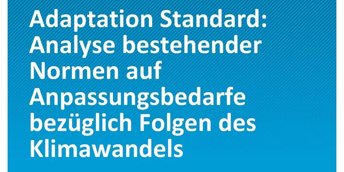 Titelseite der Publikation Climate Change 56/2021 Adaptation Standard: Analyse bestehender Normen auf Anpassungsbedarfe bezüglich Folgen des Klimawandels