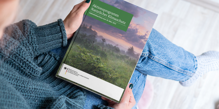 Titelbild mit einer grünen, von Nebel überzogenen Waldlandschaft in einem Sonnenaufgang.