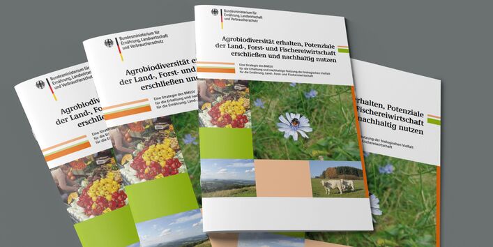 Das Bild zeigt einen Stapel Broschüren mit dem Titel "Agrobiodiversität erhalten, Potenziale der Land-, Forst- und Fischereiwirtschaft erschließen und nachhaltig nutzen".