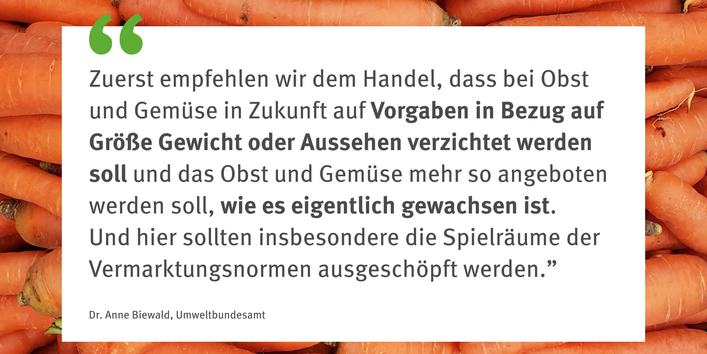 Eine Grafik mit einem Zitat von einer UBA-Mitarbeiterin zur Senkung handelsspezifischer Vorgaben von Obst und Gemüse. Die strengen Vorgaben des Handels an das Aussehen und die Größe von Obst und Gemüse belasten die Umwelt, denn häufig müssen für ihre Erfüllung zusätzlich Pflanzenschutz- und Düngemittel eingesetzt werden.