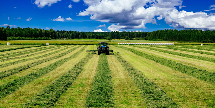 Ein Traktor erntet Heu