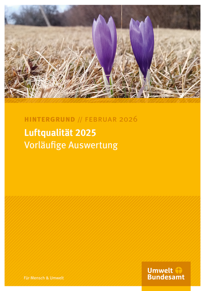 Krokusse auf einer trockenen Wiese