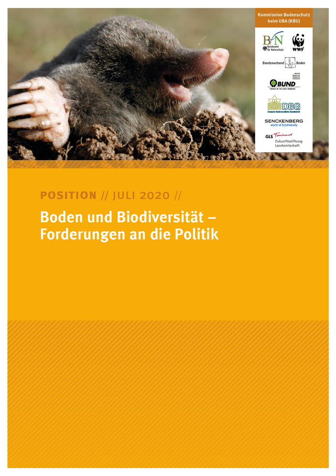 Cover des Positionspapiers Boden und Biodiversität – Forderungen an die Politik