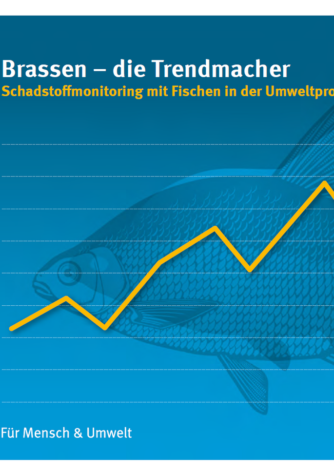 Cover Brassen - die Trendmacher