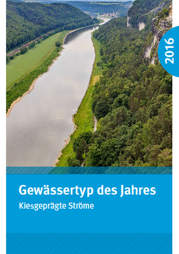 Cover Flyer Gewässertyp des Jahres 2016