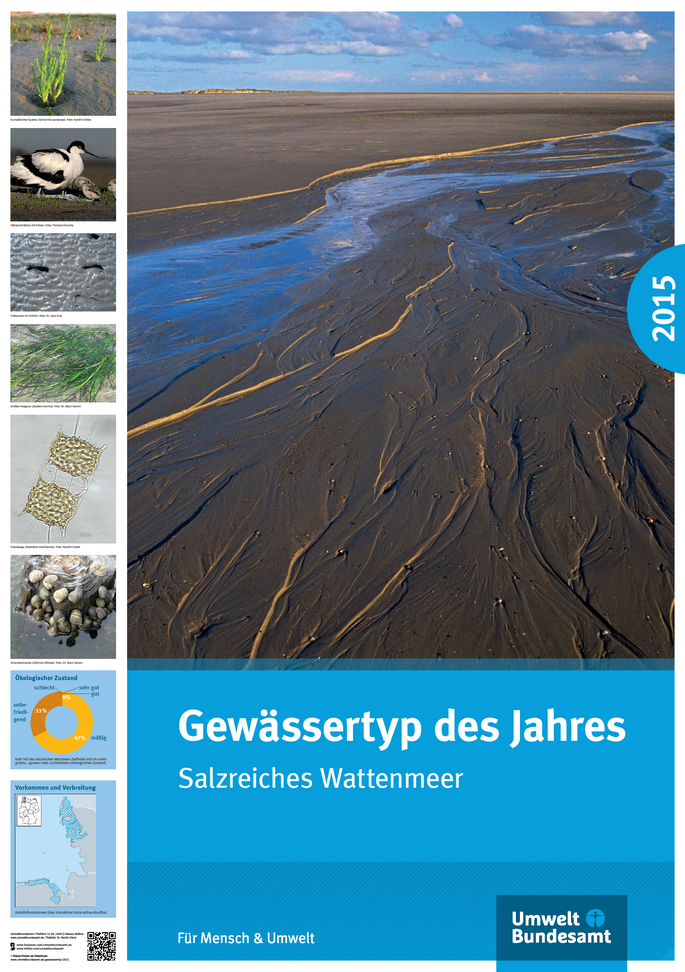 Cover Poster Gewässertyp des Jahres 2015