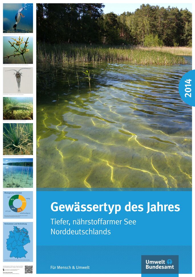 Cover Poster Gewässertyp des Jahres 2014