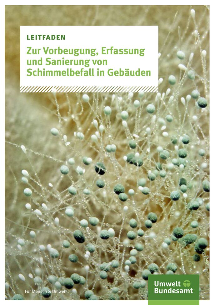 Das Cover des Leitfadens