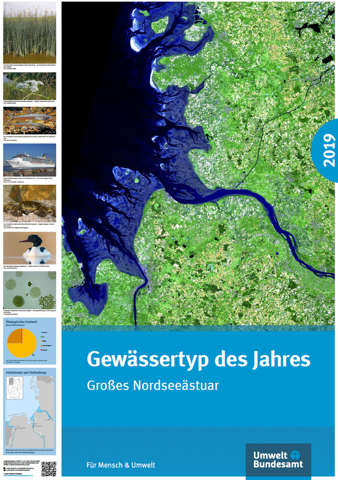 Das Cover der Publikation