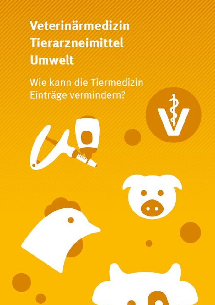 Das Cover der Publikaiton