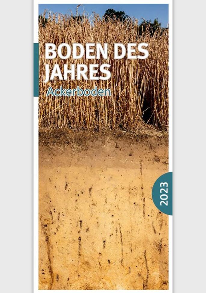 Bodenprofil Ackerboden