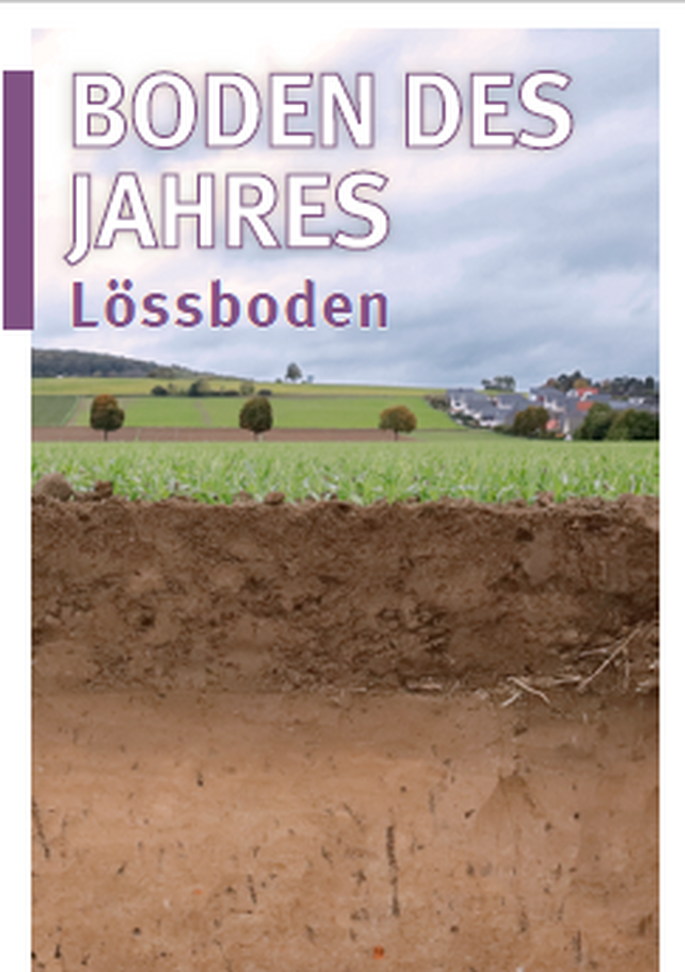 Titelbild Bodenprofil Lössboden