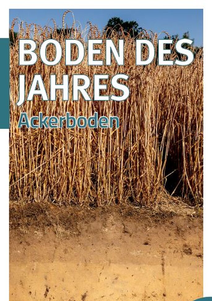 Bodenprofil Ackerboden