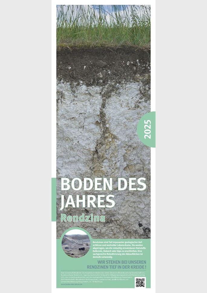 Bodenprofil Rendzina