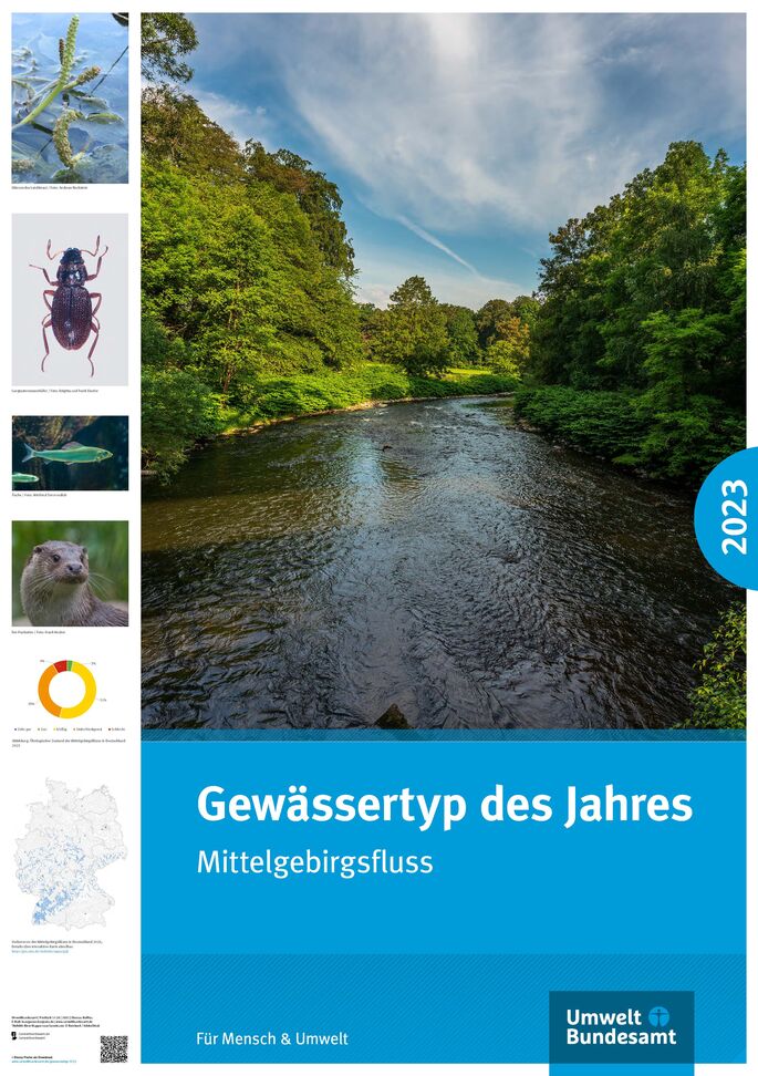 Fluss Wupper, am Ufer grüne Bäume und Büsche
