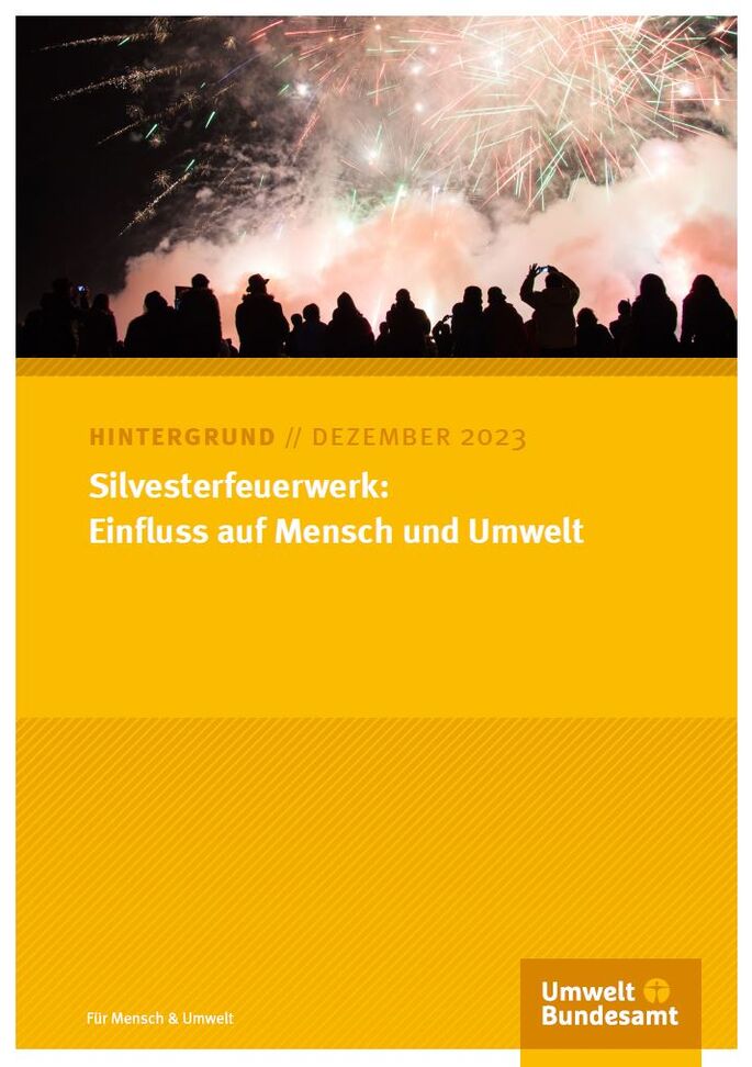 Menschen stehen vor einem Silvesterfeuerwerk
