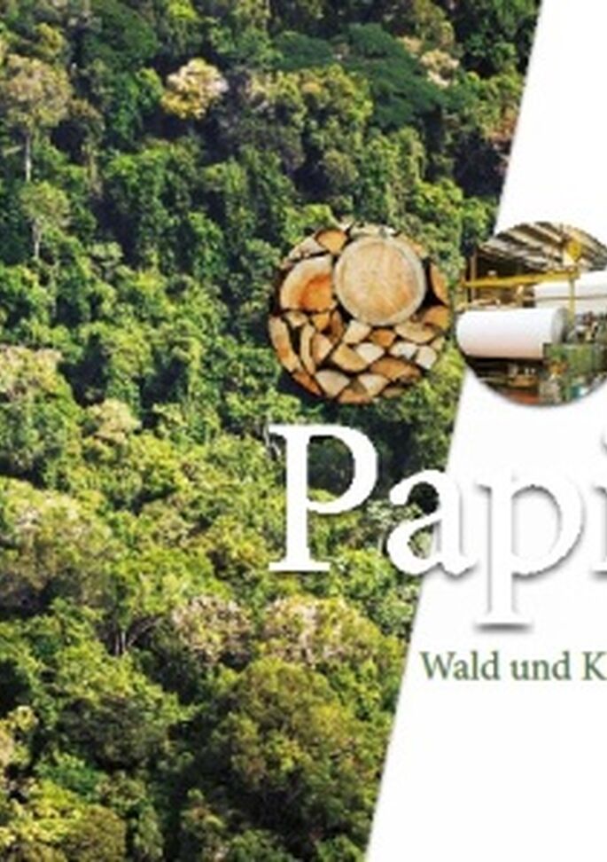 Publikation:Papier. Wald und Klima schützen