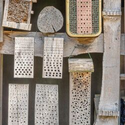 Insektenhotel aufgehängt an der Hausfassade