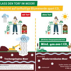 Inforgrafik: Lass den Torf im Moor! Verzicht auf torfhaltige Blumenerde spart CO2.