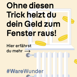 Slogan: Ohne diesen Trick heizt du dein Geld zum Fenster raus! Illustration von Heizkörper und Geldstücken am Fenster. UBA-Logo.