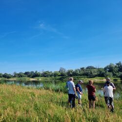 Teilnehmende der UBAwegs Tour im Juli auf einer Auenbegehung im Roßlauer Oberluch