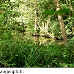 Landschaftsaufnahme Schlangepfuhl
