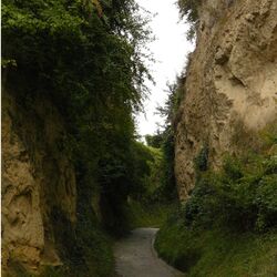 Foto der „Eichgasse“, einem Lösshohlweg