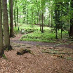 Foto der Landschaft des Lehrpfades