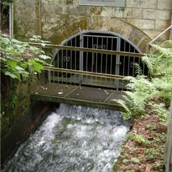 Foto eines Entwässerungsstollen des Triebischtals